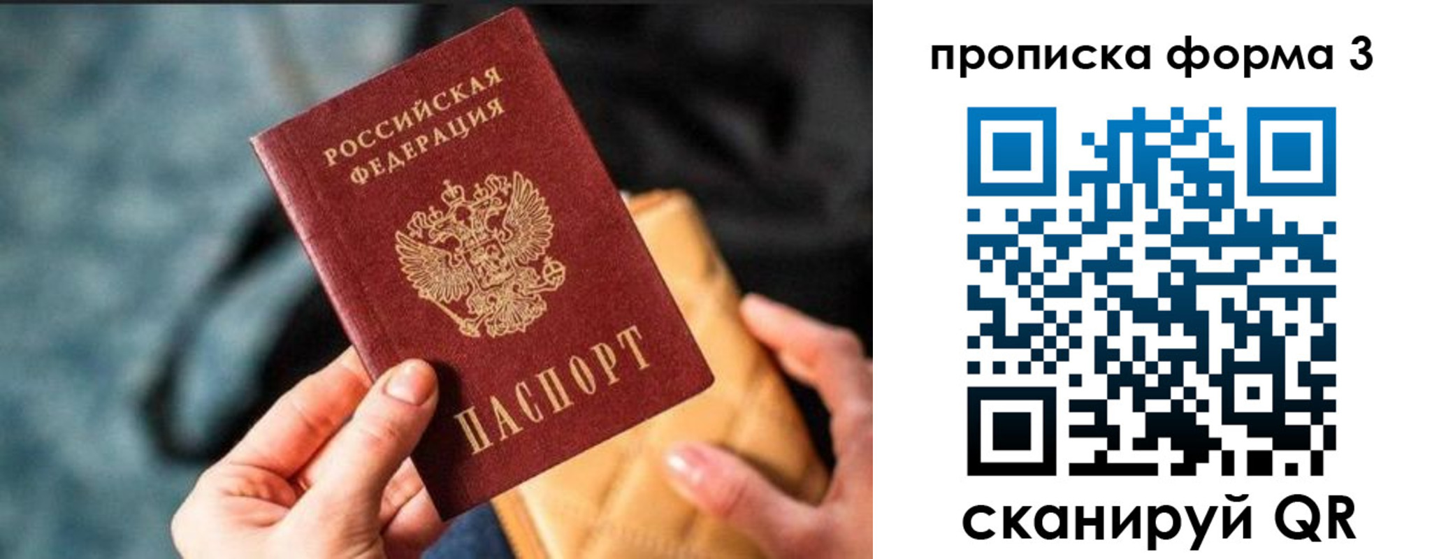 прописка гарантия в Зверево